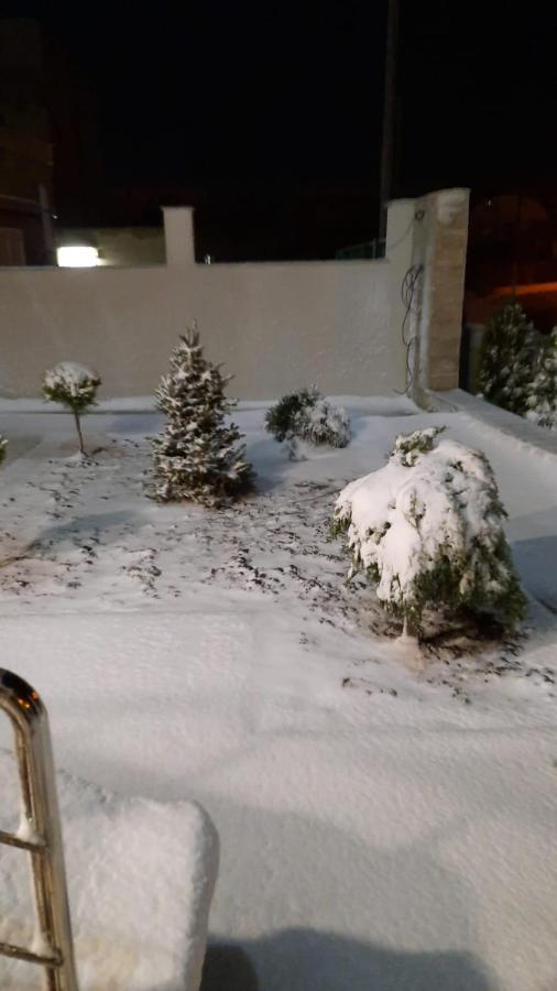 Casa Andi Apartment Navodari Bagian luar foto